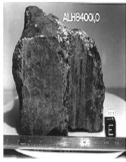 Meteorite ALH84001