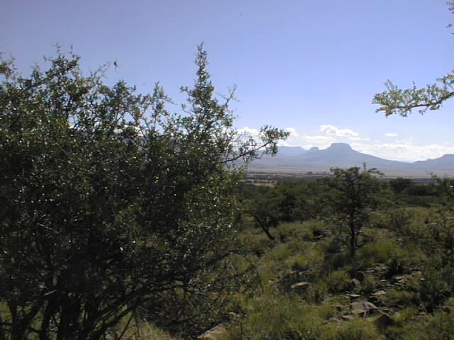 Rugged Eastern Cape landscapes