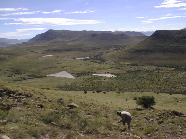 View from slope of Martha