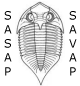 SASAP / SAVAP